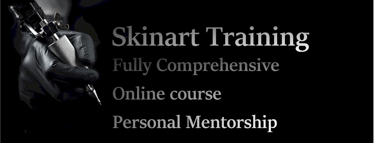 Skinart Training online course and personal mentorship